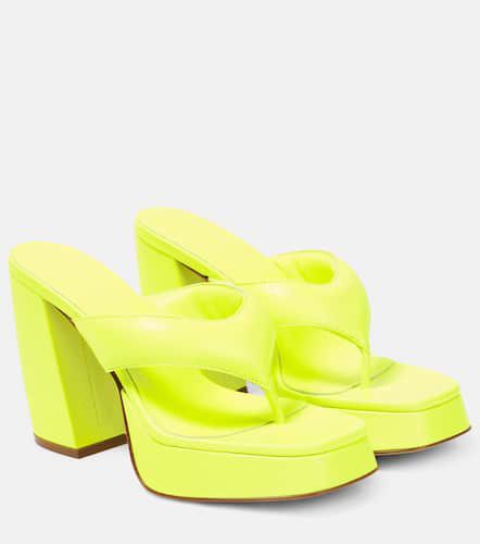 Gia 17 leather platform thong sandals - Gia Borghini - Modalova