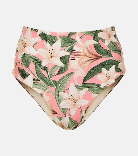 Culotte de bikini Magenta à fleurs - Agua by Agua Bendita - Modalova
