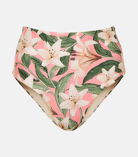 Magenta floral high-rise bikini bottoms - Agua by Agua Bendita - Modalova