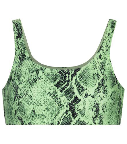 Vapor snake-print sports bra - Alo Yoga - Modalova