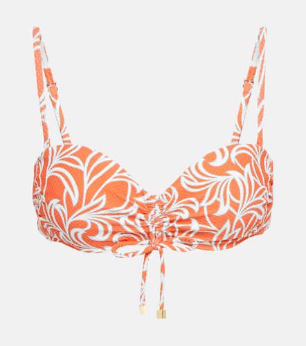 Top bikini a fascia Coral Gardens - Heidi Klein - Modalova