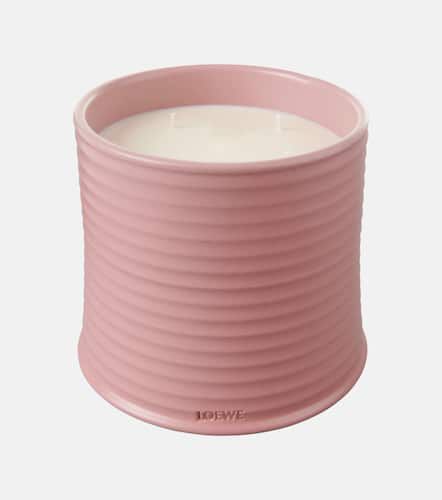 Candela profumata Ivy grande - Loewe Home Scents - Modalova