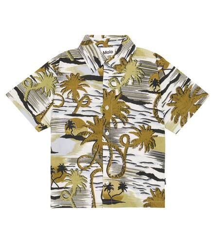 Rass printed cotton jersey shirt - Molo - Modalova