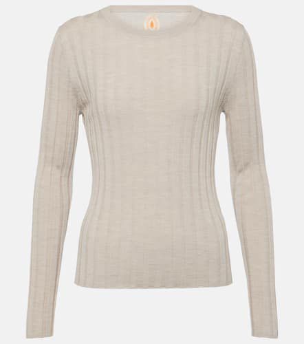 Ribbed-knit virgin wool sweater - Jardin des Orangers - Modalova