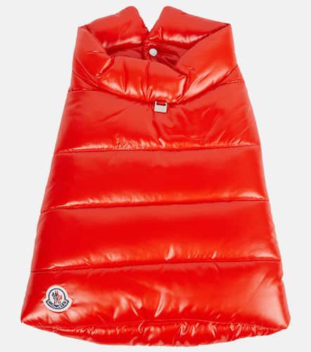 Abrigo para perro Poldo Dog Couture - Moncler - Modalova