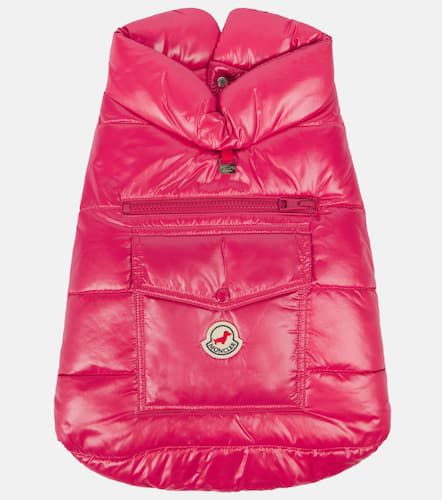 Abrigo Poldo Dog Couture - Moncler - Modalova