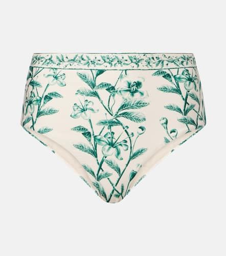 Culotte de bikini Magenta à fleurs - Agua by Agua Bendita - Modalova