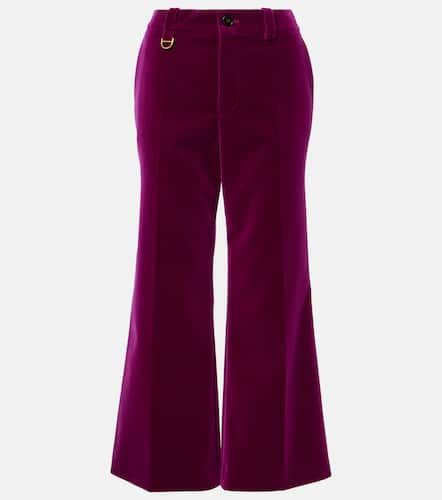Cotton velvet cropped bootcut pants - Chloe - Modalova