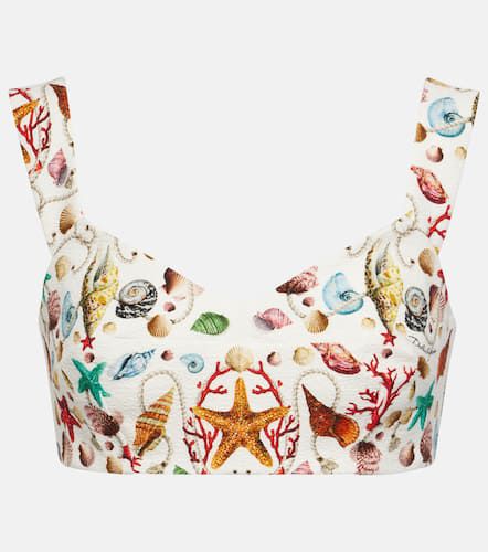 Capri printed cotton bra top - Dolce&Gabbana - Modalova