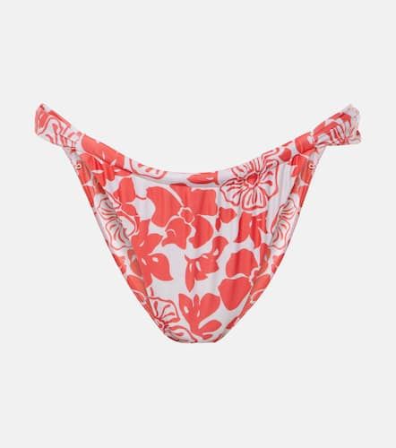 Culotte de bikini Andez à fleurs - Faithfull - Modalova