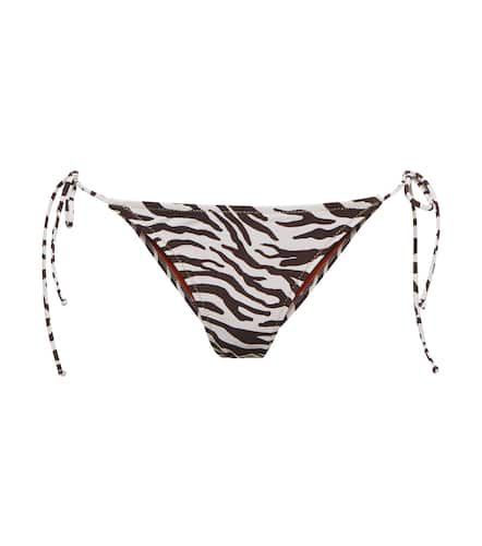 Miami zebra-print bikini bottoms - Reina Olga - Modalova