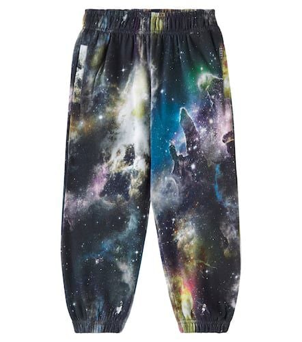 Molo Adan printed cotton sweatpants - Molo - Modalova