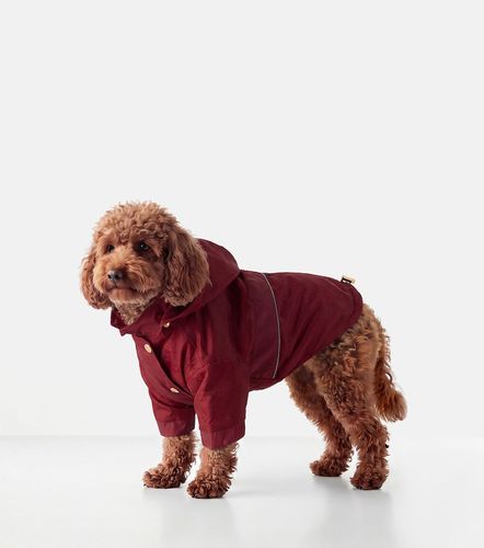 Gucci Abrigo para mascotas con GG - Gucci - Modalova