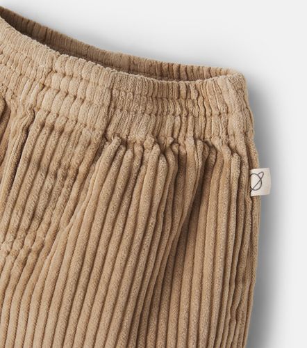Bebé - Pantalones de pana de algodón - Cozmo - Modalova