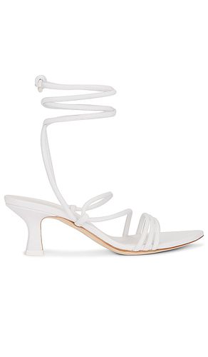 Dafne Sandal in . Size 37, 38, 40 - 3JUIN - Modalova