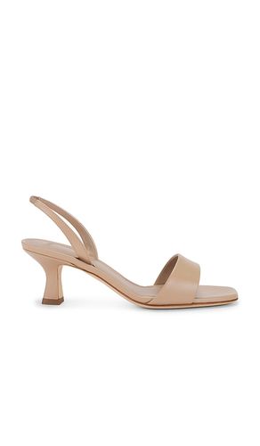 Sandalias cameron en color talla 36 en - . Talla 36 (también en 37, 38, 39, 40) - 3JUIN - Modalova