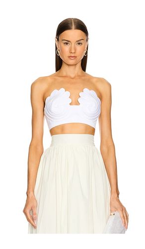 X REVOLVE Coquillage Strapless Top in . Taglia M, S - ADRIANA DEGREAS - Modalova