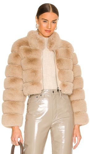 Faux fox fur jacket in color beige size M in - Beige. Size M (also in S) - Adrienne Landau - Modalova