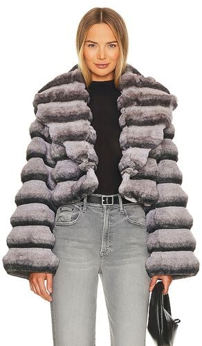 Faux Fur Chinchilla Jacket in . Size M - Adrienne Landau - Modalova