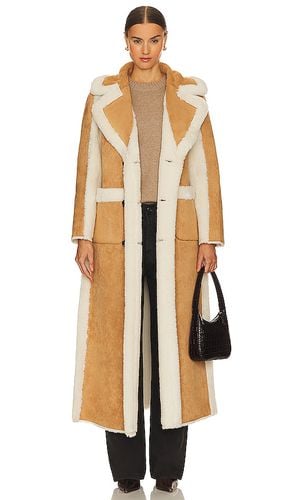 Faux shearling reversible coat in color tan size L in - Tan. Size L (also in M) - Adrienne Landau - Modalova