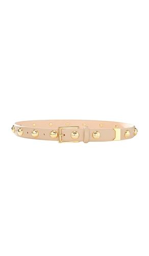 Studded Belt in . Size XXS - AUREUM - Modalova