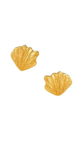 Oyster Earrings in - AUREUM - Modalova