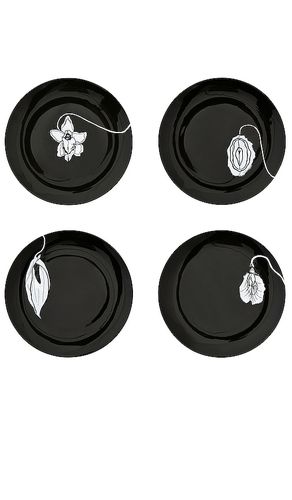 Forniplates Dinner Plates Set of Four in - Anissa Kermiche - Modalova