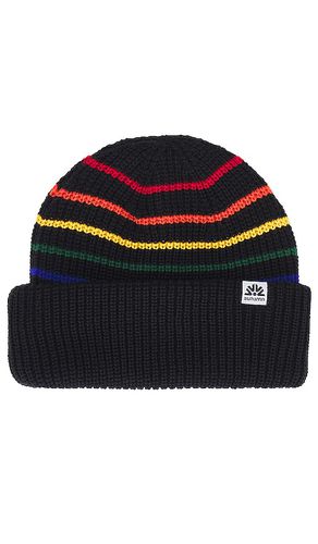 Autumn Headwear BEANIE in Black - Autumn Headwear - Modalova