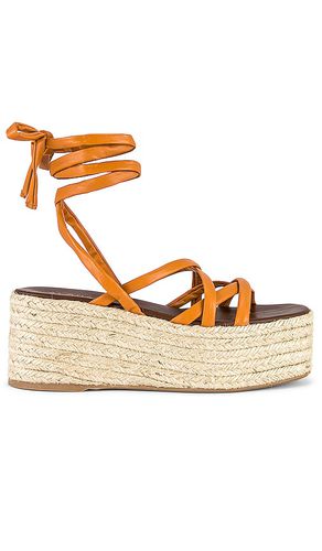 Paw Paw Sandal in . Size 39 - ALOHAS - Modalova