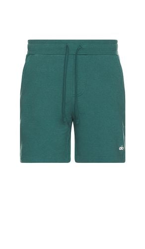 Chill Shorts in . Size S, XL/1X - alo - Modalova