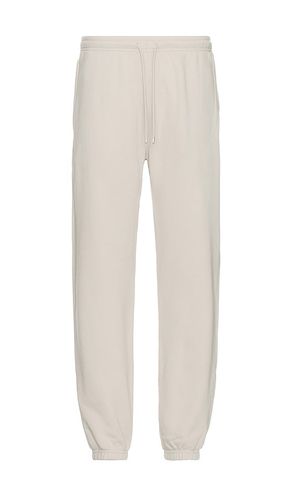 Chill Sweatpant in . Taglia M, S, XL/1X - alo - Modalova