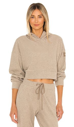 Muse Hoodie in . Taglia M, S, XS - alo - Modalova