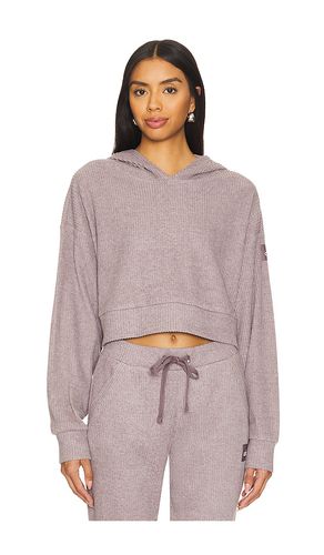 Muse Hoodie in . Taglia S - alo - Modalova