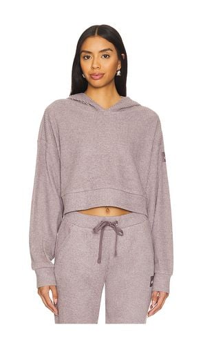 Muse Hoodie in . Taglia S, XS - alo - Modalova