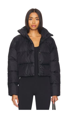 Gold Rush Puffer in . Taglia M, S, XS - alo - Modalova