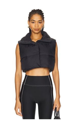 Extreme Cropped Gold Rush Puffer Vest in . Size M, S, XS - alo - Modalova