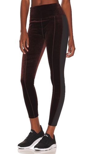 Velvet tight en color marrón talla L en - Brown. Talla L (también en S, XS) - ALALA - Modalova