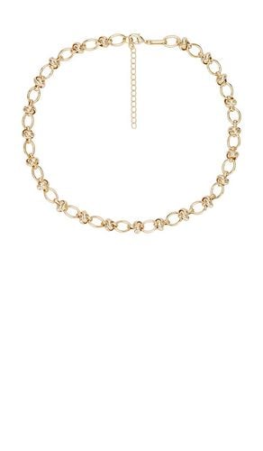 Knotted Chain Necklace in - Alexa Leigh - Modalova