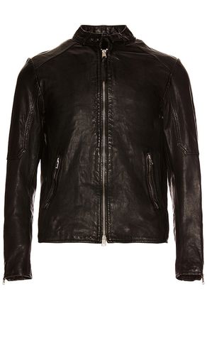 Cora Leather Jacket in . Size M, XL/1X - ALLSAINTS - Modalova