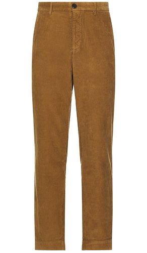 Pantalones en color marrón talla 30 en - Brown. Talla 30 (también en 36) - ALLSAINTS - Modalova