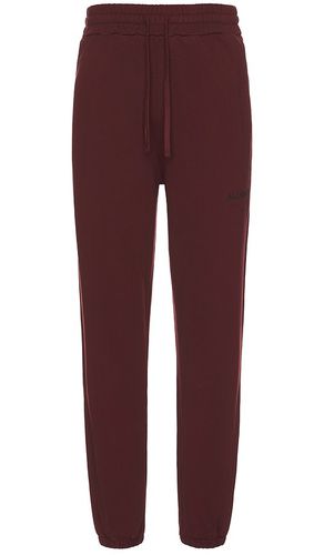 Pantalón en color burgundy talla S en - Burgundy. Talla S (también en XL/1X) - ALLSAINTS - Modalova