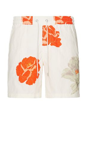 Roze swim short en color blanco talla M en - White. Talla M (también en XL/1X) - ALLSAINTS - Modalova