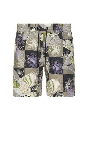 Sebastian Swim Short in . Size M, XL/1X - ALLSAINTS - Modalova