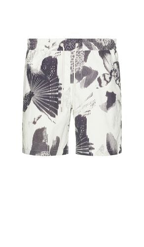 Frequency Swim Short in . Size XL/1X - ALLSAINTS - Modalova