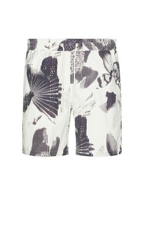 Frequency Swim Short in . Taglia M, S, XL/1X - ALLSAINTS - Modalova