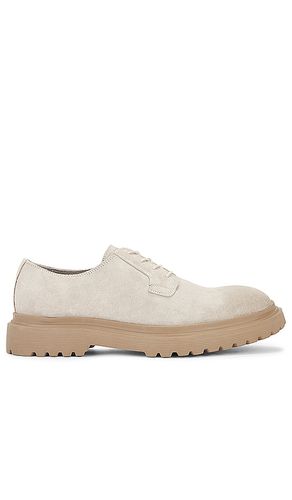 Zapato en color crema talla 10 en - Cream. Talla 10 (también en 12, 8) - ALLSAINTS - Modalova