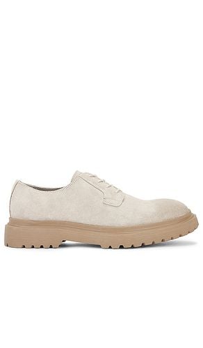 Mavor Shoe in . Size 12, 8 - ALLSAINTS - Modalova