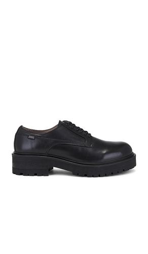 Hank Derby in . Size 12 - ALLSAINTS - Modalova