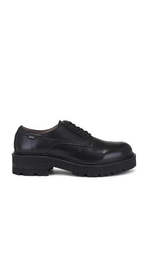 Hank Derby in . Size 9 - ALLSAINTS - Modalova