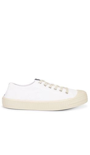 Zapatilla deportiva en color talla 11 en - White. Talla 11 (también en 9) - ALLSAINTS - Modalova